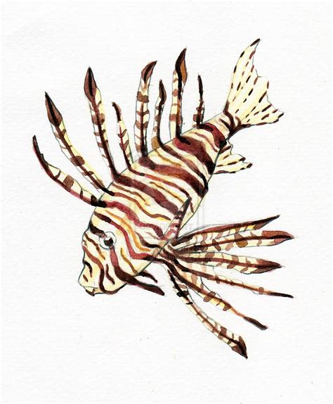lionfish simple drawing