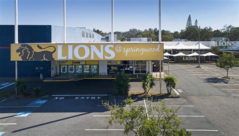 lions at springwood qld