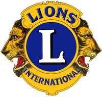 lions club non profit