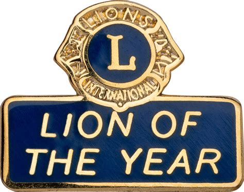 lions international awards and recognition