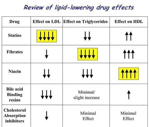 lipid lowering agents side effects