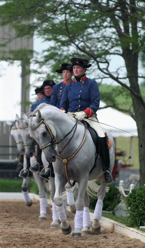 lipizzan horses wadsworth il