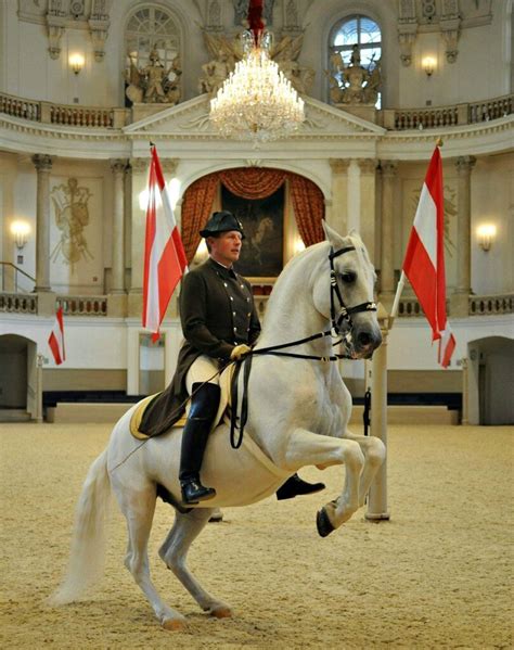 lipizzaner spanish riding school vienna