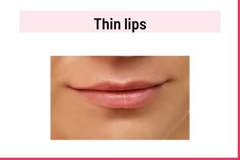 Lips And Their Functions