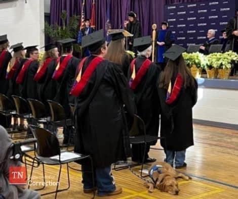 Lipscomb University Reddit