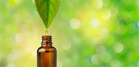 Liquid Botanical Extracts