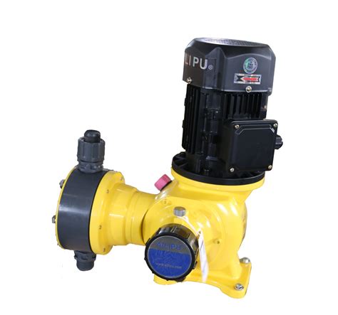 Liquid Chlorine Pump