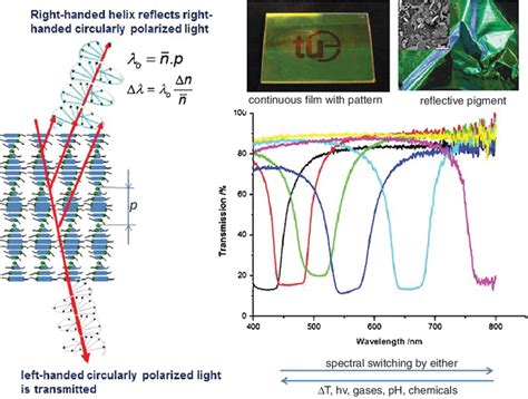 Liquid Crystal Polymer Laser