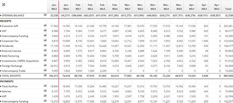 Liquidity Report Sample