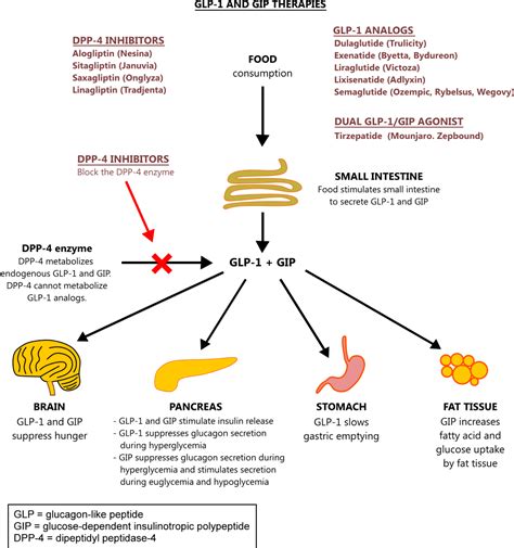 liraglutide classification