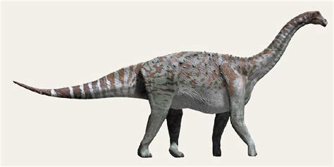 lirainosaurus diet herbivore