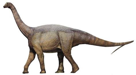 lirainosaurus dietyyy