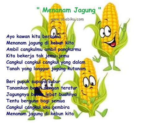 lirik lagu anak menanam jagung