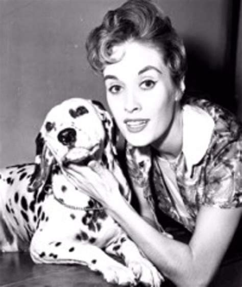 Lisa Davis: Unveiling the Secrets of Her Phenomenal Career Success