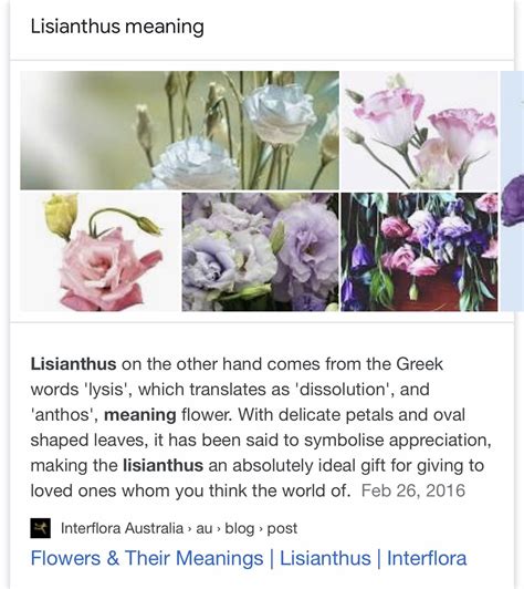 lisianthus meaning