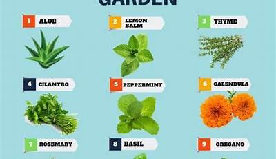 List Of Plants For Herbal Garden