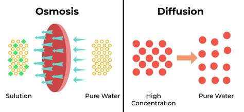 list 5 examples of technology that spread through diffusion