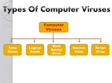 list and explain 10 types of computer viruses