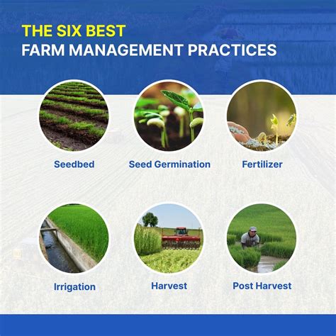 list and explain the function of a farm manager