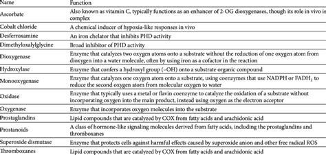 List Enzymes And Their Functions