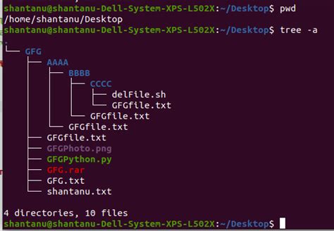 List Every File In Directory Bash