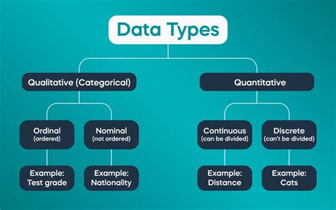 list five example of data and information