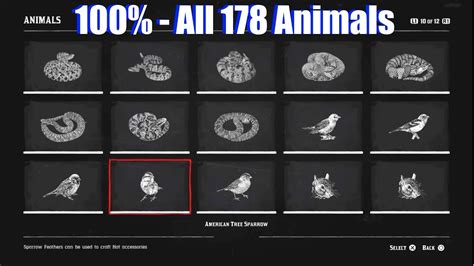 list of all animals in rdr2