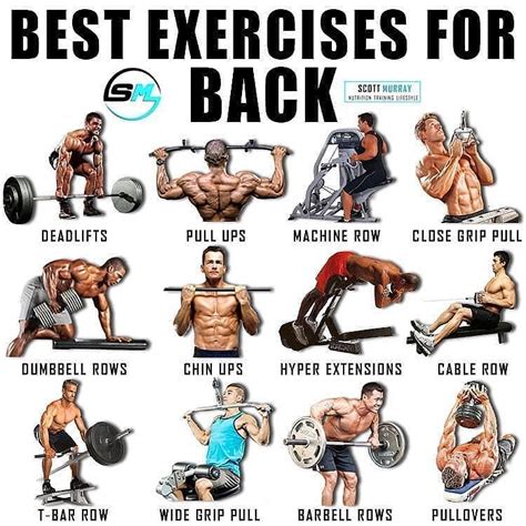 list of all back exercises