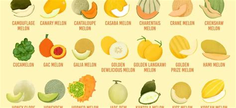 List Of All Melons
