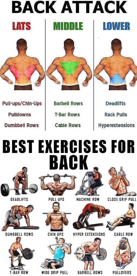list of back exercises in gym