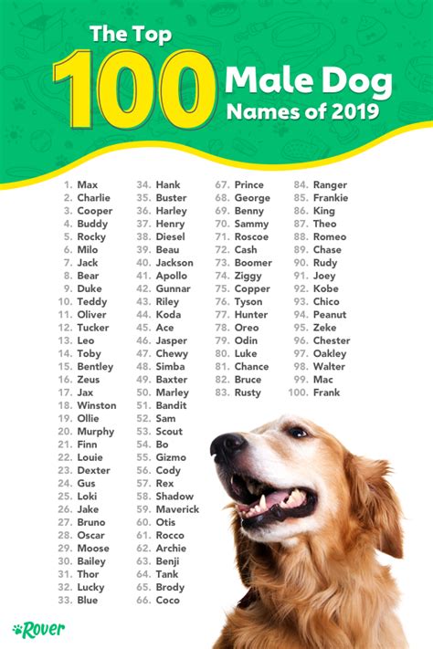 List of Dog Names for Males