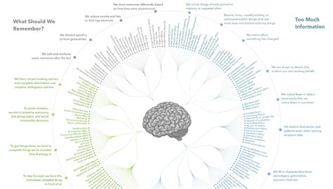 list of human biases