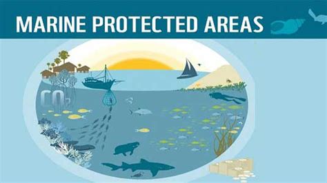 list of marine protected areas