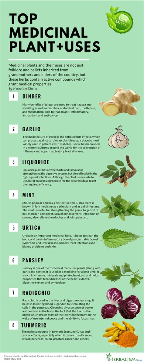 list of medicinal herbs and their uses pdf