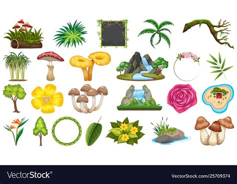 List Of Objects In Nature