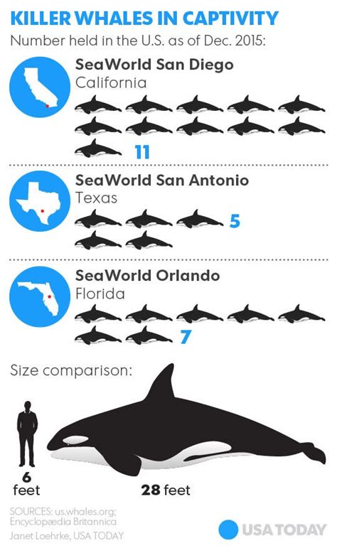 list of orcas in captivity