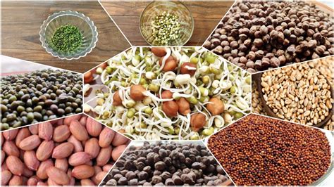 list of sprouts in telugu