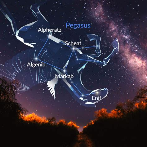 list of stars in pegasus constellation