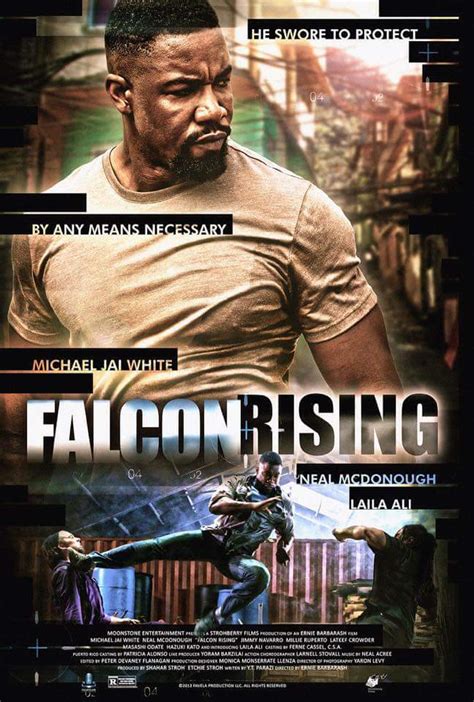 list of the falcon movies