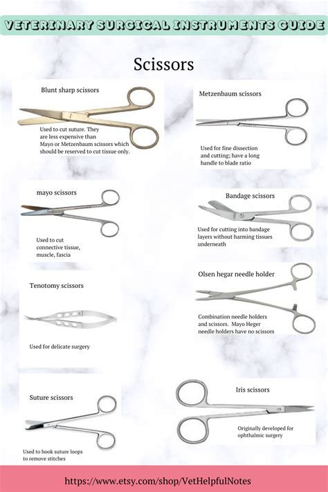 List Of Veterinary Surgical Instruments