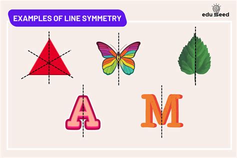List Two Examples Of Line In Nature