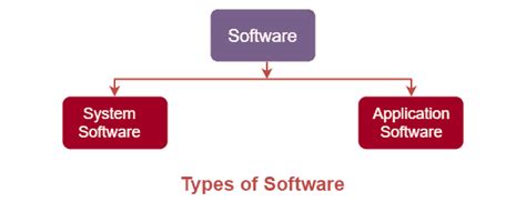 list two main types of computer software