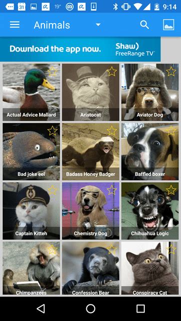 listing of the Best Meme Generator Apps for android