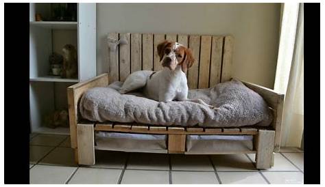 lit pour chien sur pied Pallet dog beds, Dog furniture