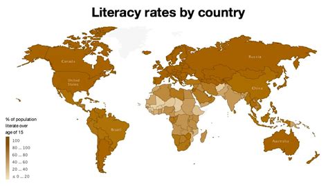 literacy rate definition geography