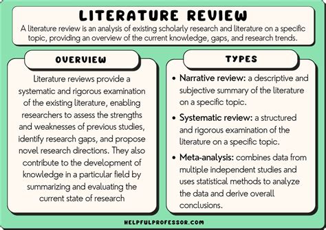 literature review meaning psychology