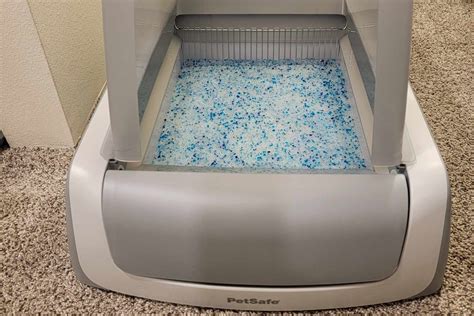 Litter Box Automatic Best