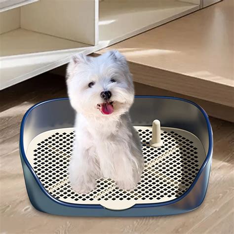 Litter Box Dog Trainer