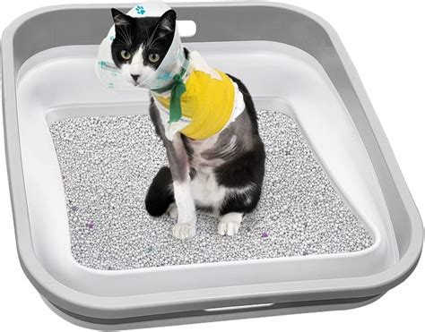 litter box for arthritic cat