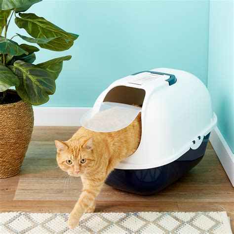 litter box for large breed cats